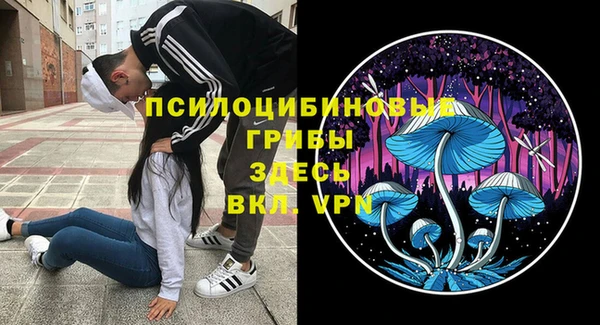 гашик Баксан