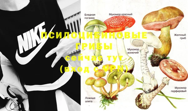 мескалин Балахна