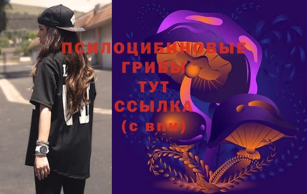 гашик Баксан